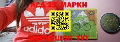 стаф Гудермес