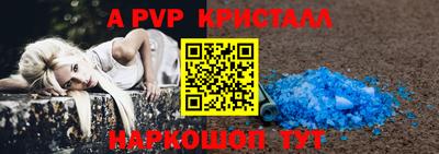 стаф Гудермес