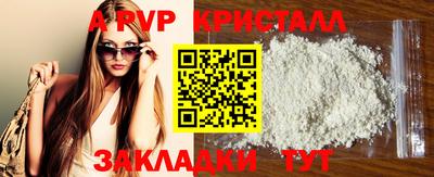 стаф Гудермес
