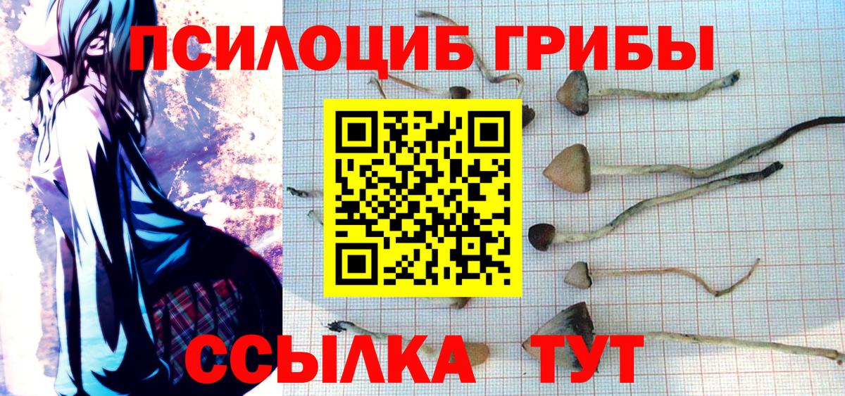 Псилоцибиновые грибы Psilocybine cubensis  Вход с VPN  Барабинск  Галлюциногенные грибы Cubensis 