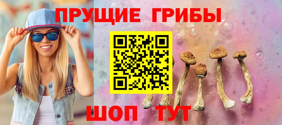 Галлюциногенные грибы прущие грибы Барабинск